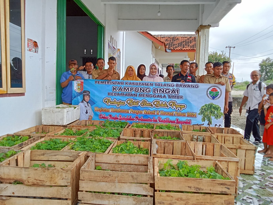 Penyaluran Bantuan Langsung Tunai ( BLT ) Tahap Pertama Tahun 2024 dan Pembagian Bibit Pepaya.